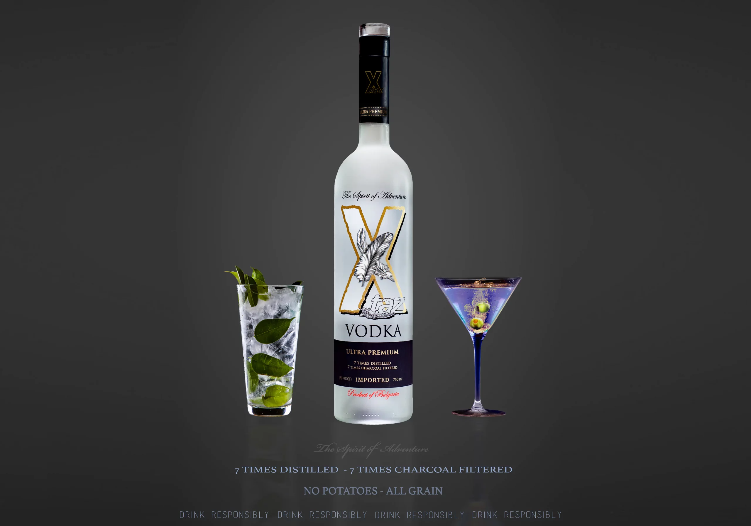 Vodka bottle and two glasses on each side